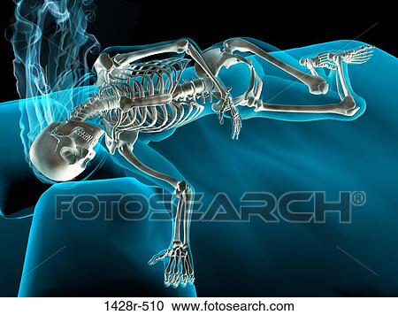 X-ray view of a woman sleeping View Large Photo Image Stock Image - X-ray view of a woman sleeping. Fotosearch