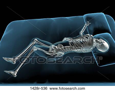 X-ray view of a woman sleeping View Large Photo Image Stock Photograph - X-ray view of a woman sleeping. Fotosearch