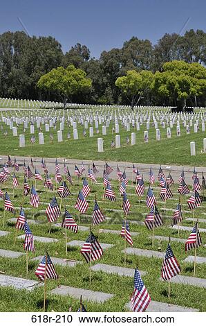 American flags placed at each individual plot in a cemetery, Los Angeles National Cemetery, Los Angeles, California, USA View Large Photo Image Stock Image - American flags placed at each individual plot in a cemetery, Los Angeles National Cemetery, Los Angeles, California, USA. Fotosearch