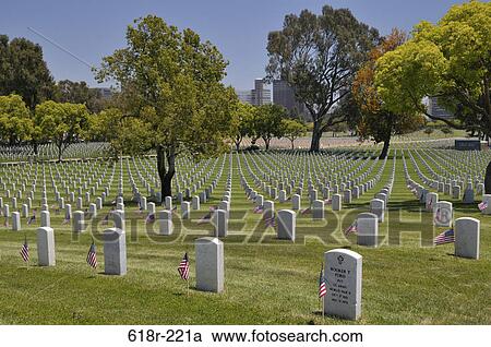 American flags placed at each individual plot in a cemetery, Los Angeles National Cemetery, Los Angeles, California, USA View Large Photo Image Stock Image - American flags placed at each individual plot in a cemetery, Los Angeles National Cemetery, Los Angeles, California, USA. Fotosearch
