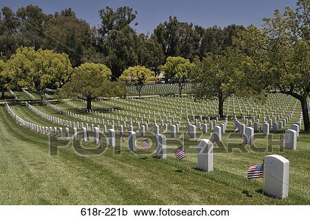 Stock Image - American flags placed at each individual plot in a cemetery, Los Angeles National Cemetery, Los Angeles, California, USA. Fotosearch