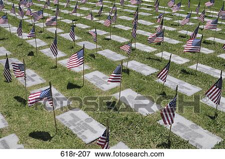 American flags placed at each individual plot in a cemetery, Los Angeles National Cemetery, Los Angeles, California, USA View Large Photo Image Stock Photo - American flags placed at each individual plot in a cemetery, Los Angeles National Cemetery, Los Angeles, California, USA. Fotosearch