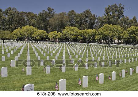 American flags placed at each individual plot in a cemetery, Los Angeles National Cemetery, Los Angeles, California, USA View Large Photo Image Stock Photo - American flags placed at each individual plot in a cemetery, Los Angeles National Cemetery, Los Angeles, California, USA. Fotosearch