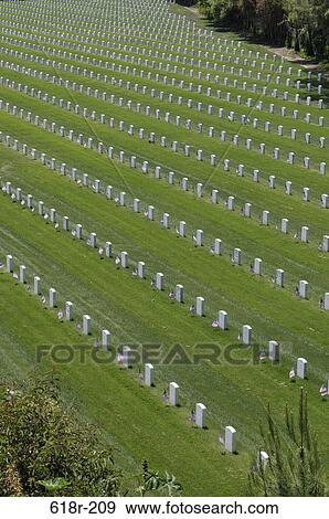 American flags placed at each individual plot in a cemetery, Los Angeles National Cemetery, Los Angeles, California, USA View Large Photo Image Stock Photo - American flags placed at each individual plot in a cemetery, Los Angeles National Cemetery, Los Angeles, California, USA. Fotosearch