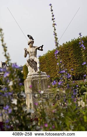 Stock Photo - Pigeons on a statue in a garden, Palais Royal, Paris, Ile-De-France, France. Fotosearch