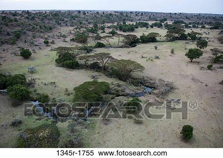 Stock Photography - Africa, Kenya, Masai Mara, aerial view of savannah landscape. Fotosearch