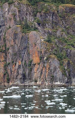 Picture - Icebergs, Endicott Arm, Alaska, USA. Fotosearch