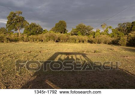 Stock Image - Kenya, Masai Mara National Reserve, Shadow of safari vehicle on savannah. Fotosearch