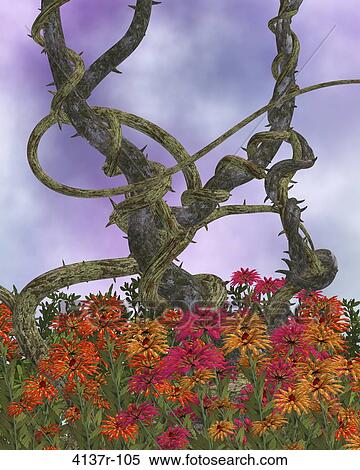 Large Outdoor Vine Background View Large Photo Image Stock Photography - Large Outdoor Vine Background. Fotosearch