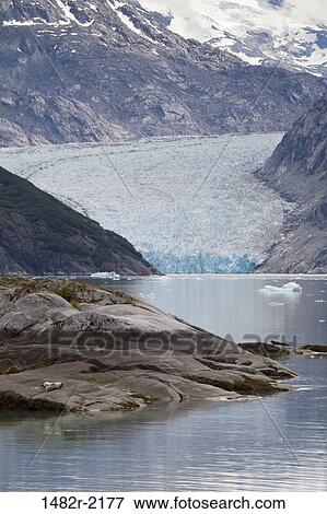 Stock Photo - Melting glacier with mountains in the background, Endicott Glacier, Endicott Arm, Alaska, USA. Fotosearch