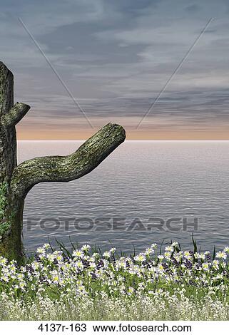 Ocean Background View Large Photo Image Stock Image - Ocean Background. Fotosearch