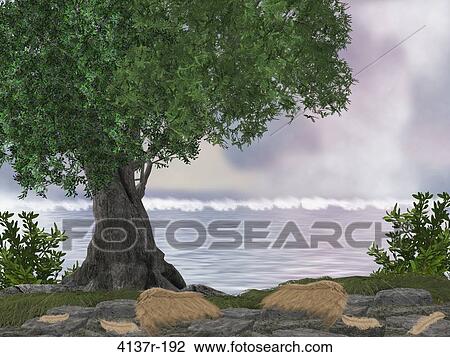 Stock Image - Ocean Rocks Background. Fotosearch