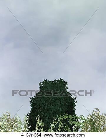 Outdoor Background View Large Photo Image Picture - Outdoor Background. Fotosearch