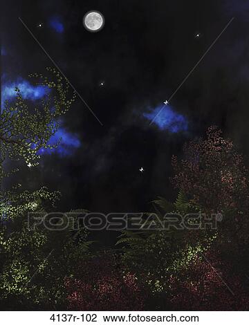 Outdoor forest background View Large Photo Image Stock Image - Outdoor forest background. Fotosearch