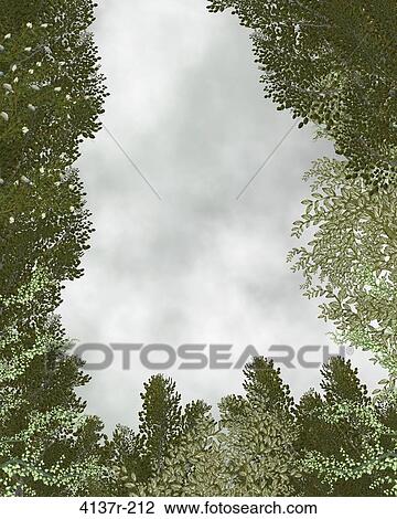 Outdoor forest background View Large Photo Image Stock Image - Outdoor forest background. Fotosearch