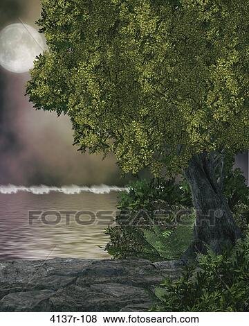Outdoor forest background View Large Photo Image Stock Photo - Outdoor forest background. Fotosearch