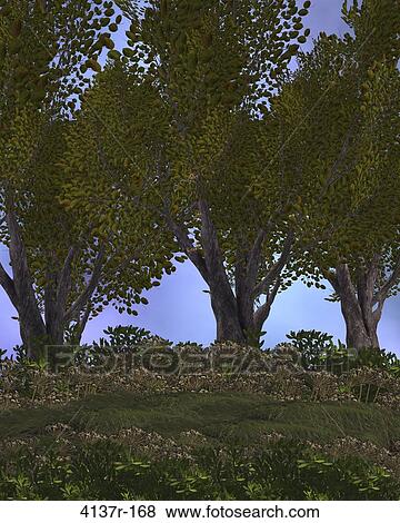 Outdoor forest background View Large Photo Image Stock Photo - Outdoor forest background. Fotosearch