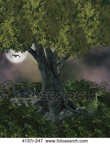 Outdoor forest background View Large Photo Image Stock Photo - Outdoor forest background. Fotosearch