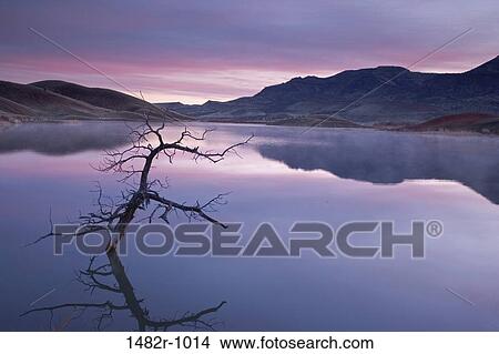 Reflection of a bare tree and hills in water, Painted Hills, John Day Fossil Beds National Park, Oregon, USA View Large Photo Image Picture - Reflection of a bare tree and hills in water, Painted Hills, John Day Fossil Beds National Park, Oregon, USA. Fotosearch