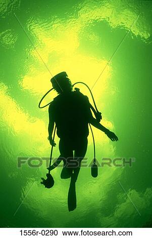 Silhouette of scuba diver View Large Photo Image Stock Image - Silhouette of scuba diver. Fotosearch