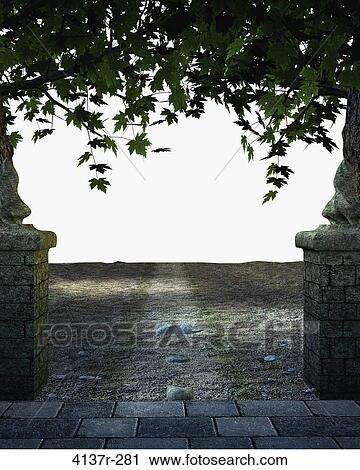 Stoned and paved road with Trees on a white background View Large Photo Image Stock Image - Stoned and paved road with Trees on a white background. Fotosearch