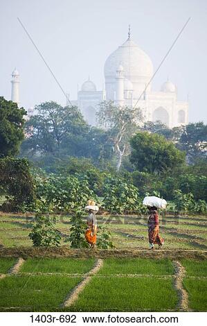 Stock Image - Two women walking in a field with a mausoleum in the background, Taj Mahal, Agra, Uttar Pradesh, India. Fotosearch