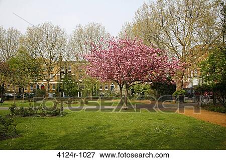 Stock Photo - UK, London Lambeth, Gardens within West Square. Fotosearch