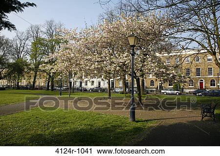 UK, London Tredegar Square garden View Large Photo Image Stock Image - UK, London Tredegar Square garden. Fotosearch