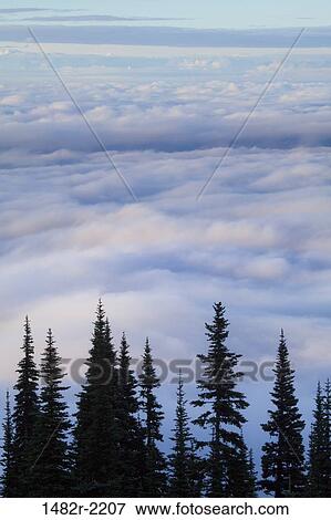 USA, Washington, Olympic National Park, landscape with clouds View Large Photo Image Stock Photo - USA, Washington, Olympic National Park, landscape with clouds. Fotosearch