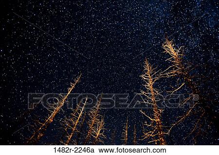Stock Image - USA, Washington State, Olympic National Park, Deer Park area, night sky. Fotosearch