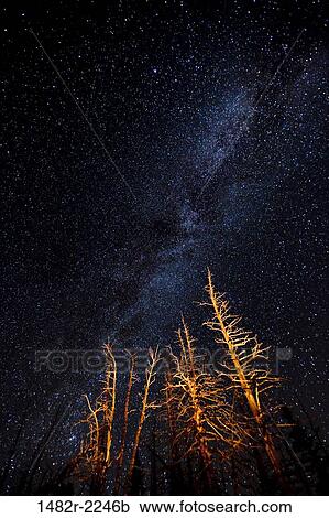 USA, Washington State, Olympic National Park, Deer Park area, night sky View Large Photo Image Stock Image - USA, Washington State, Olympic National Park, Deer Park area, night sky. Fotosearch