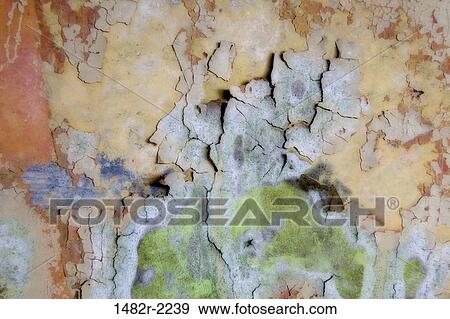 USA, Washington State, Salt Creek County Park, Tongue Point, abstract details in walls of bunker at Fort Hayden View Large Photo Image Stock Photo - USA, Washington State, Salt Creek County Park, Tongue Point, abstract details in walls of bunker at Fort Hayden. Fotosearch