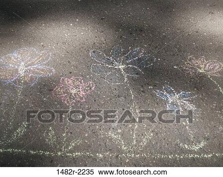 USA, Washington State, Scenic Beach State Park, chalk drawings of flowers on asphalt View Large Photo Image Stock Photography - USA, Washington State, Scenic Beach State Park, chalk drawings of flowers on asphalt. Fotosearch