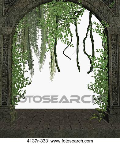 Vines in a doorway on a white background View Large Photo Image Stock Image - Vines in a doorway on a white background. Fotosearch