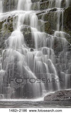 Stock Photograph - Waterfall in a forest, Port Walter, Baranof Island, Alaska, USA. Fotosearch