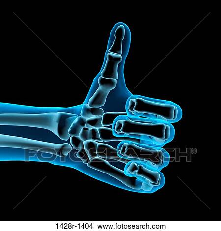 3D Computer Illustration of a blue hand giving the thumbs up sign. Black background View Large Photo Image Picture - 3D Computer Illustration of a blue hand giving the thumbs up sign. Black background. Fotosearch