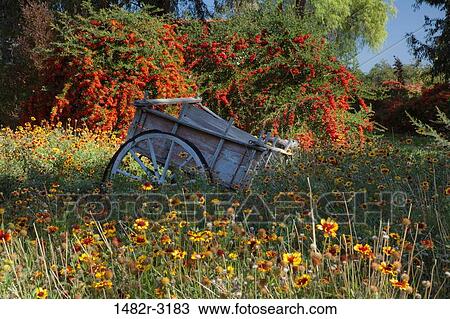 Stock Image - Mexico, Tecate, Rancho La Purerta, Old Cart in meadow. Fotosearch
