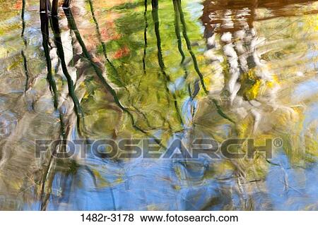 Mexico, Tecate, Rancho La Purerta, Reflections in Pond View Large Photo Image Stock Photo - Mexico, Tecate, Rancho La Purerta, Reflections in Pond. Fotosearch