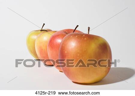 Organic Apples lined up in row close up on white background View Large Photo Image Stock Photo - Organic Apples lined up in row close up on white background. Fotosearch
