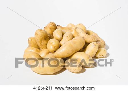 Organic fingerling potatoes in pile on white background View Large Photo Image Stock Image - Organic fingerling potatoes in pile on white background. Fotosearch
