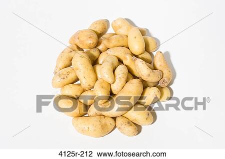 Stock Image - Organic fingerling potatoes in pile on white background. Fotosearch
