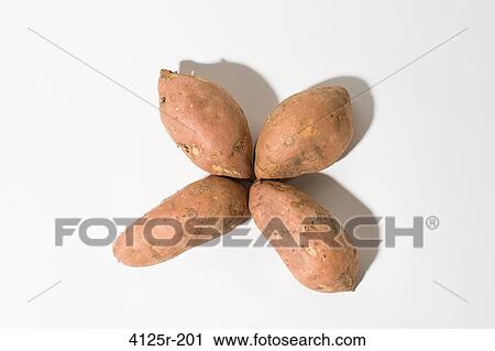 Organic Sweet Potato Yams in clover shape on white background View Large Photo Image Stock Image - Organic Sweet Potato Yams in clover shape on white background. Fotosearch