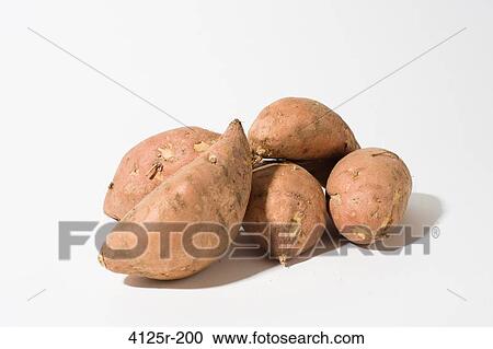 Organic Sweet Potato Yams in pile on white background View Large Photo Image Stock Image - Organic Sweet Potato Yams in pile on white background. Fotosearch