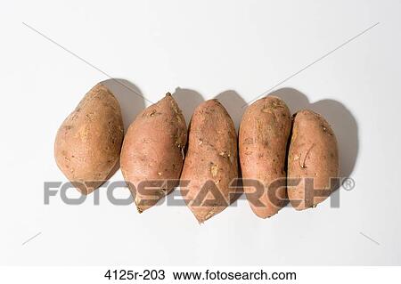 Stock Image - Organic Sweet Potato Yams lined up on white background. Fotosearch