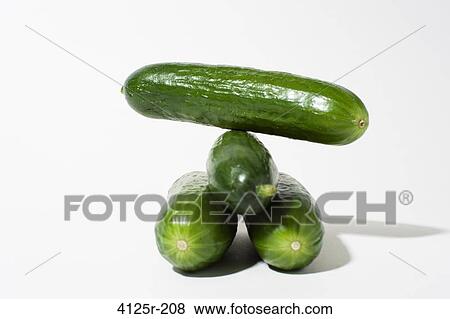 Persian organic cucumbers balancing on white background View Large Photo Image Stock Photo - Persian organic cucumbers balancing on white background. Fotosearch
