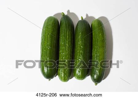 Persian organic cucumbers lined up on white background View Large Photo Image Stock Photograph - Persian organic cucumbers lined up on white background. Fotosearch