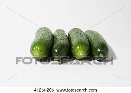 Persian organic cucumbers lined up on white background View Large Photo Image Stock Photography - Persian organic cucumbers lined up on white background. Fotosearch
