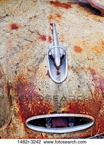Rusty car hood View Large Photo Image Stock Image - Rusty car hood. Fotosearch