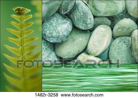 Stones, Deer Fern, river detail (digital composite) View Large Photo Image Stock Photo - Stones, Deer Fern, river detail (digital composite). Fotosearch