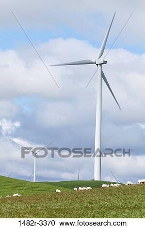 USA, California, Birds Landing, View of Wind Turbines View Large Photo Image Stock Image - USA, California, Birds Landing, View of Wind Turbines. Fotosearch